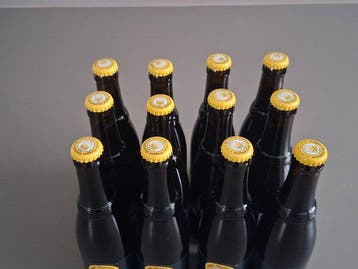 Westvleteren - douze - 33cl - 12 bouteilles, Nieuw