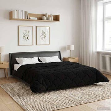 vidaXL Zomer Deken Zwart 200 x 240 cm Microvezel en Teddy, Verzenden, Nieuw