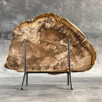 Prachtige plak versteend hout op een op maat gemaakte