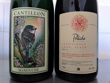 Cantillon - Mamouche (2026) & Pellicle - Coexistence: Kriek, Collections