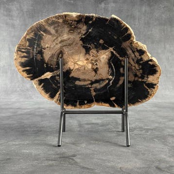 Magnifique tranche de bois pétrifié sur un socle