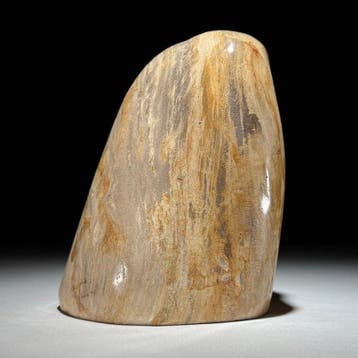 C-Wonderful Versteend Hout Vrijvorm & Bol - Gefossiliseerd