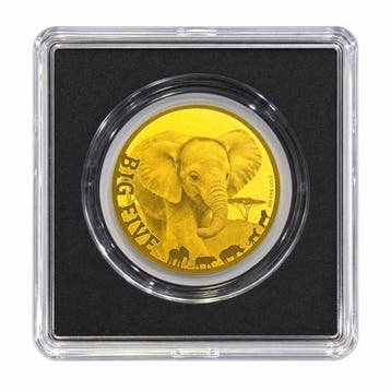 Tsjaad. 5000 Francs 1/200 oz 999 Fine Gold 5000 CFA Francs
