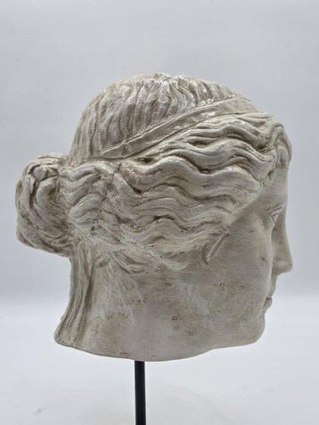 Sculpture, Testa greco romana - 31 cm - poudre de marbre