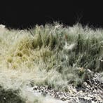 ALPINO, BISSOLITE VERDE PELOSA, PRATO Cristallino, Mont
