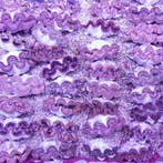 Tridacna Maxima - Gold  M (5-7 cm), Verzenden