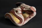 Mask - Kagura-masker Leeuw-hond (Shishi) - hout