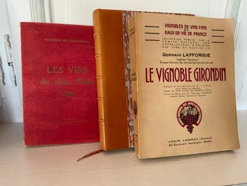 Camille Rodier / Germain Lafforgue / Monsieur de Sépanguel -