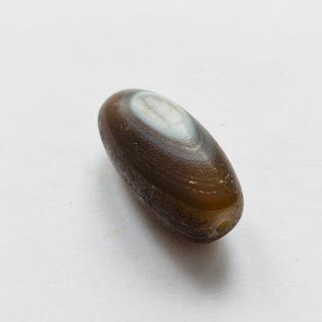 Zijderoute, Centraal-Aziatisch Natuurlijke bandagaat
