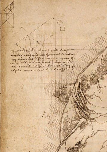 Boriani - JAWS, Da Vinci Series - limited edition 1/20, Verzamelen, Nieuw