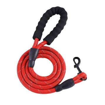 Hondenriem 300cm 3 Meter - Extra Sterk Rood - Hond Riem, Verzenden
