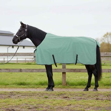 vidaXL Paardendeken Bijzondere Groen 155 cm Polyester Fleece, Dieren en Toebehoren, Verzenden, Nieuw
