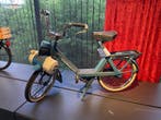 Solex 5000 - Marge - (5)