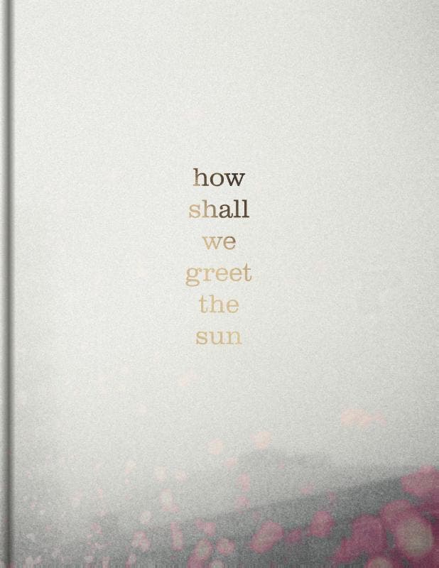 How Shall We Greet The Sun | Thana Faroq | Nieuw, Livres, Livres Autre, Envoi