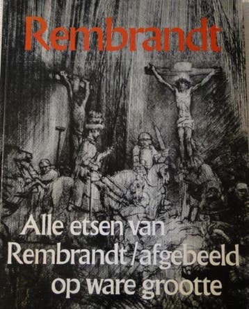 Alle etsen van rembrandt 9789022840481 Gary Schwartz, Boeken, Verzenden, Gelezen, Gary Schwartz