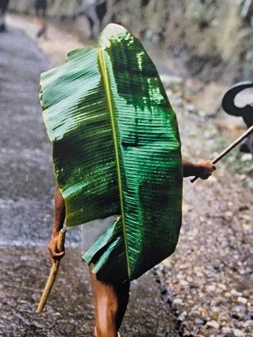 Steve McCurry (1950–) - Young man herding water buffalo in