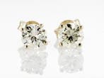 Oorbellen - 14 karaat Geel goud - 2.00ct. tw. Geel Diamant