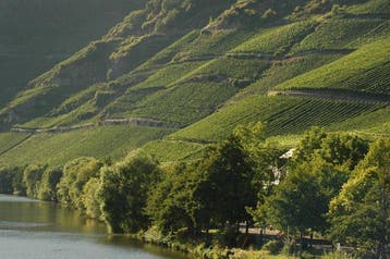 2007 Weingut Reinhold Haart, Piesporter Grafenberg Riesling