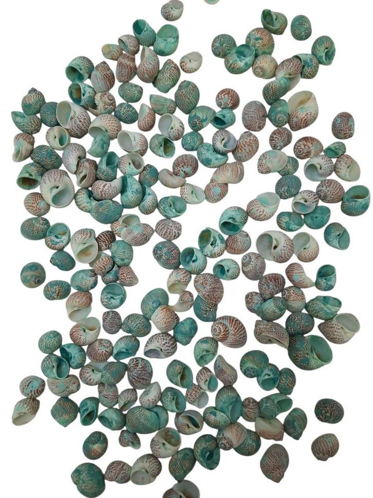 Pulla Muttai Schelpen Groen 500 gram, Hobby en Vrije tijd, Knutselen, Nieuw