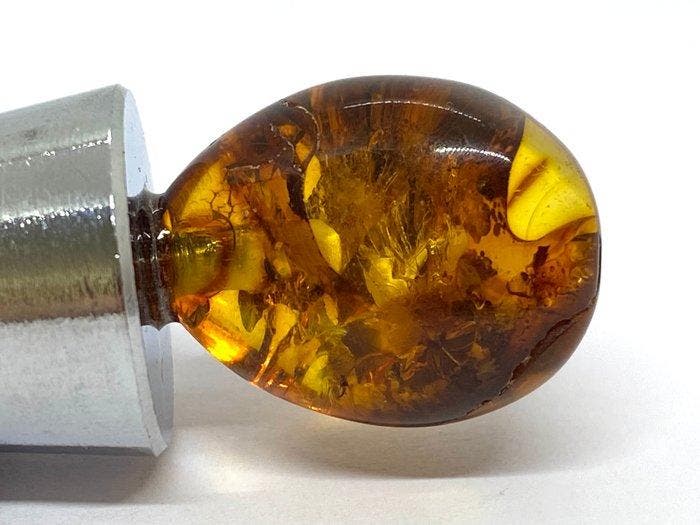 Wijnstopper met Imperial Cognac amberkleurig - Baltic, Verzamelen, Dierenverzamelingen
