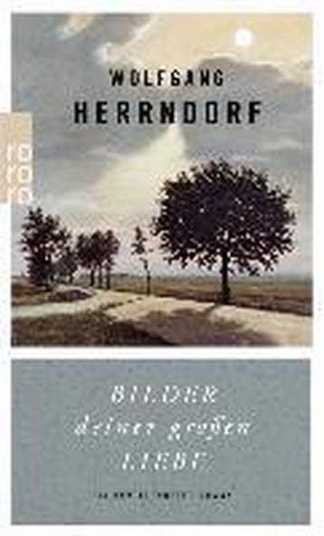 Bilder deiner grossen Liebe 9783499269097 Wolfgang Herrndorf, Verzenden, Gelezen, Wolfgang Herrndorf