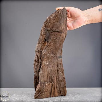 Natuurlijk feeënhout-kristalliseerd versteend hout uit