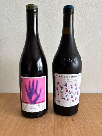2024 Allante & Boulanger Gamay Montaizin Alexandre Plassat