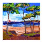 Caroline Mandrafina - Pfleger  Plage de Martigues