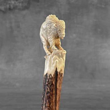 Snijwerk, NO RESERVE PRICE - Stunning Bison carving from