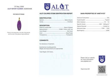 Geen reserve - ALGT gecertificeerd - Grote en exclusieve