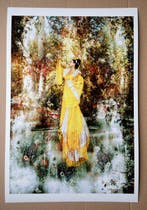 Viet Ha Tran - Xian: Myths of the Beauties, Diao Chan IV