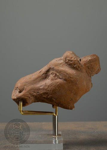 Romain antique Terre cuite Tête de cheval en terre cuite