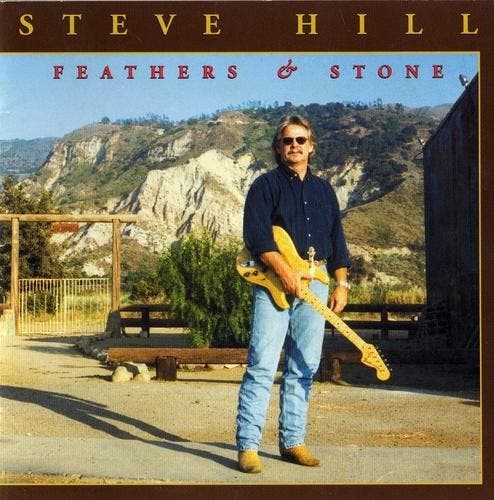 Steve Hill - Feathers and Stone, CD & DVD, CD | Pop, Envoi