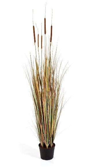 Kunstplant Lisdodde Gras Herfst 150 cm, Maison & Meubles, Plantes d'intérieur, Envoi