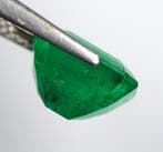 Groen Smaragd - 7.03 ct - Gem research Swiss Lab (GRS)