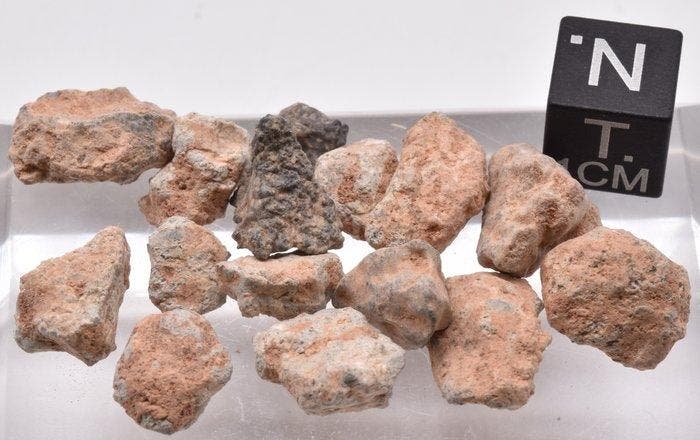 GEEN RESERVE - Maanmeteoriet Bechar 007 - Algerije, - 10 g, Collections, Minéraux & Fossiles