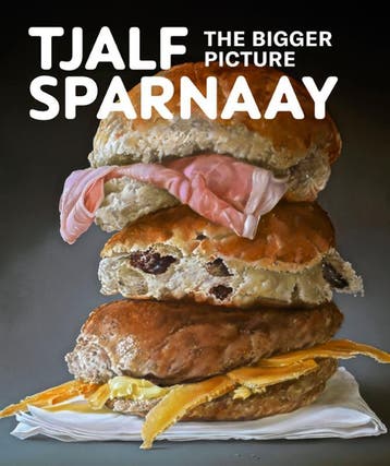 Tjalf Sparnaay - The Bigger Picture | Nieuw, Verzenden, Nieuw, Karin Lieverloo; Simon McKeown