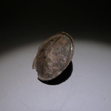 Chimu, Peru Zilver Tamba - Oorbel. Ø 4,5 cm. 1100–1400