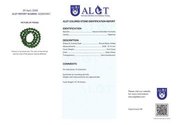 ALGT-gecertificeerd - Grote en uiterst exclusieve