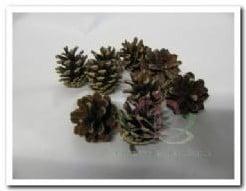 Sylvester denneappeltjes Naturel 250 gram, Hobby en Vrije tijd, Knutselen, Nieuw