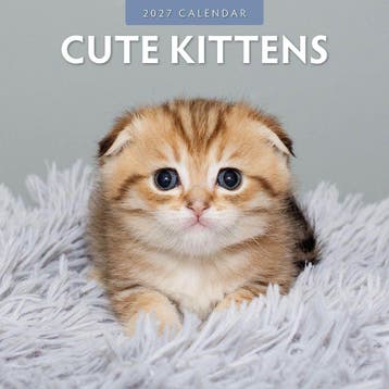 Red Robin Wall Kalender 2027 - Cute Kittens, Ophalen of Verzenden