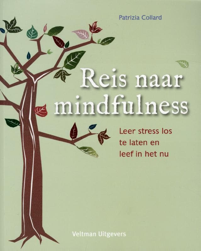 Reis naar mindfulness 9789048307883 Patrizia Collard, Livres, Ésotérisme & Spiritualité, Envoi