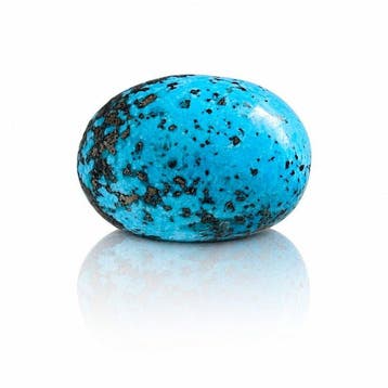Nischapur turkoois met pyriet - 75,65 ct Cabochon- 15.12 g