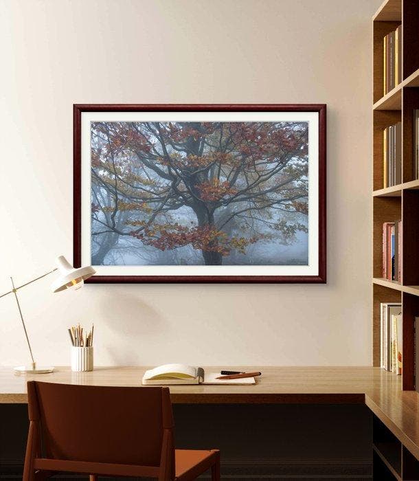 Stefano Balma - Allure, Antiquités & Art, Art | Objets design