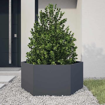 vidaXL Plantenbak zeshoek 104x90x45 cm staal, Tuin en Terras, Verzenden, Nieuw
