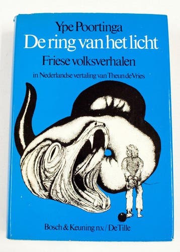 De ring van het licht 9789024642540 Poortinga, Verzenden, Poortinga