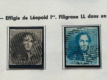 België 1849/1863 - Leopold I : Verzameling Epauletten en