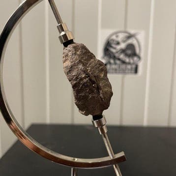 Météorite d’Al Haggounia en version de luxe - Hauteur : 41