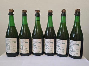 1988 Rafael Bravo, Favourite Cuvée - Selección Especial -, Nieuw
