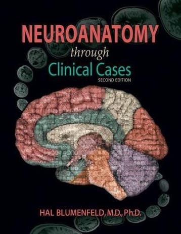 Neuroanatomy Through Clinical Cases 9780878930586, Verzenden, Gelezen, Hal Blumenfeld